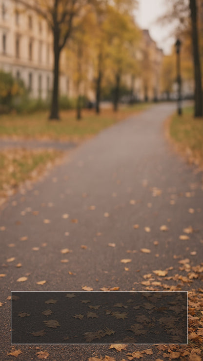 Dobsom Graham Jacka Dam Svart Magnetblixtlås